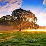 Avatar Iván Téllez